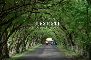 อุโมงต้นไม้ (อุโมงเสียว) หมู่ที่ 35 บ้านทุ่งไทรงาม อ.เดชอุดม จ.อุบลราชธานี