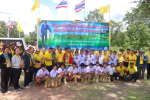 โครงการรณรงณ์ปลูกหญ้าแฝกอันเนื่องมาจากพระราชดำริ เพื่ออนุรักษ์ดินและน้ำ ประจำปีงบประมาณ พ.ศ.๒๕๖๘ ณ สวนสมุนไพร ๑ อปท. ๑.สวนสมุนไพรเฉลิมพระเกียรติฯ "อบต.เมืองเดช